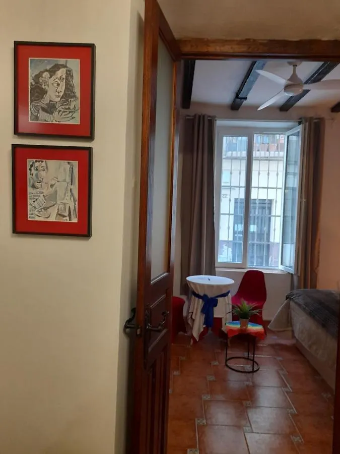 Picasso Carreteria History Center Apartment Malaga